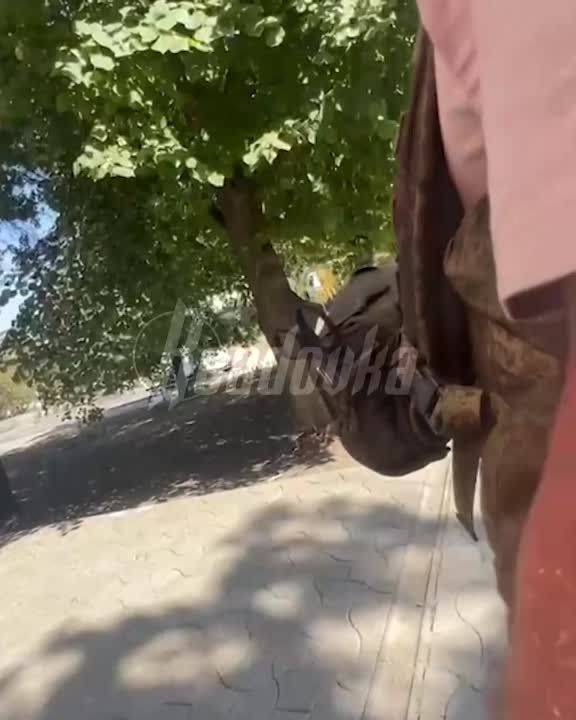 ������� ����������� ����� ����� � � ������� ���� ������� �������� �������� ������� ����� ��� ��������� �����