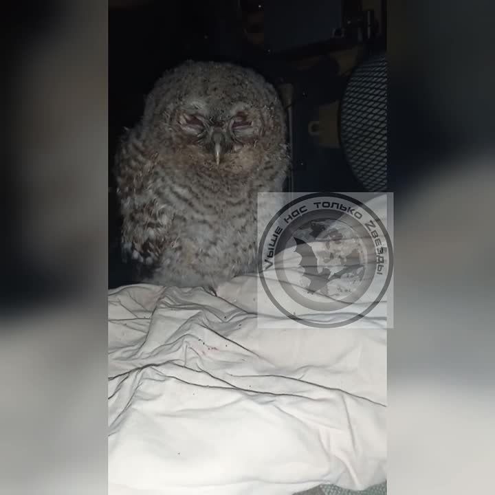 ���������. ��������� ���� ������ � ����������� �����������
