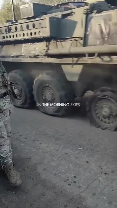 ����������� ���������� ���������������� M1132 Stryker ESV (Engineer Support Vehicle) � ������������� ����� �������� ������ LWMR ��� ������� �� ��� �� ���������