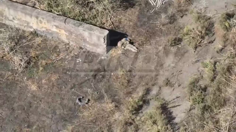 �������� �����: ��������� ����� ��� � ������: