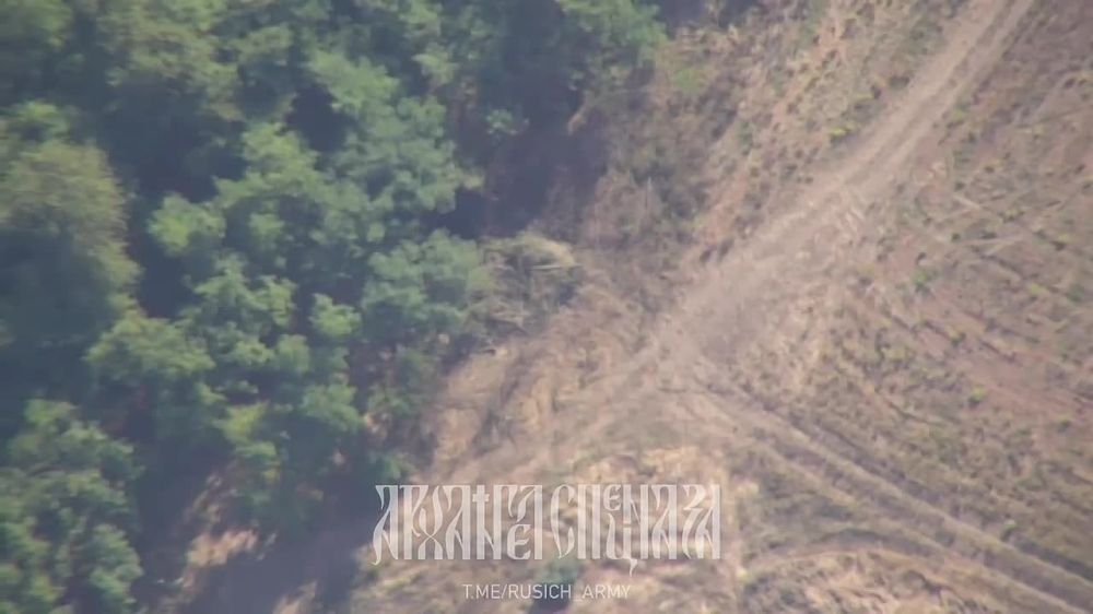 ����� �����: ���������� 22 ������� ���������� ��� �AHS Krab� �� ����������� �����������