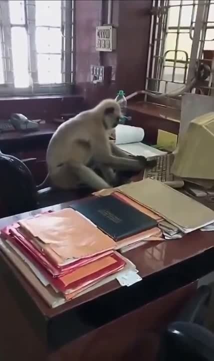 � ����� �������� � ������� 20 ����� ��������� �������� ��������������� �������