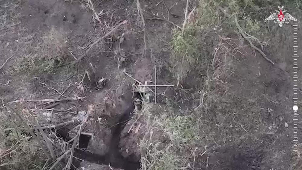 ��� �������, ��� �����: ���� ���������� ������ �������� ����� ������������� ��� ���������� � ������ ����������