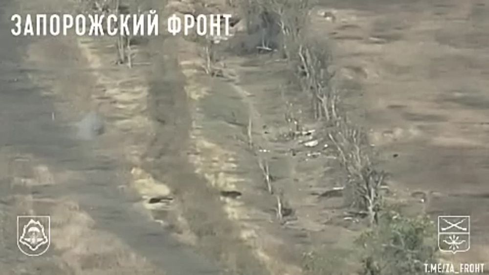 ���� ������� ���������� ���� ��� �� ���������� �����������: �����