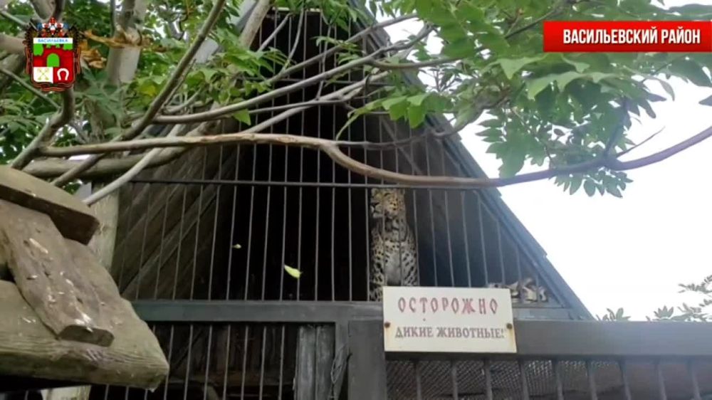 ����� ���������� � ������������ �������!