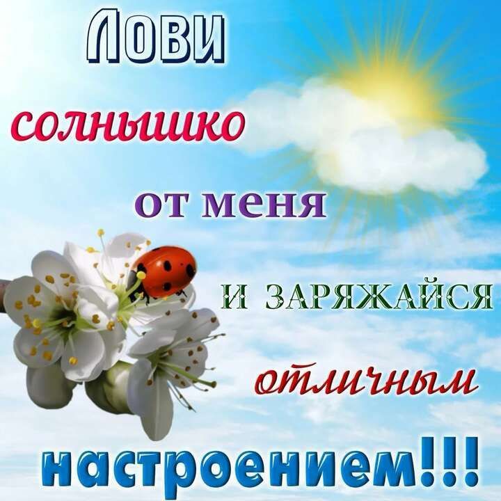 ��� �������� �����.. ����� �� ����� ������ �