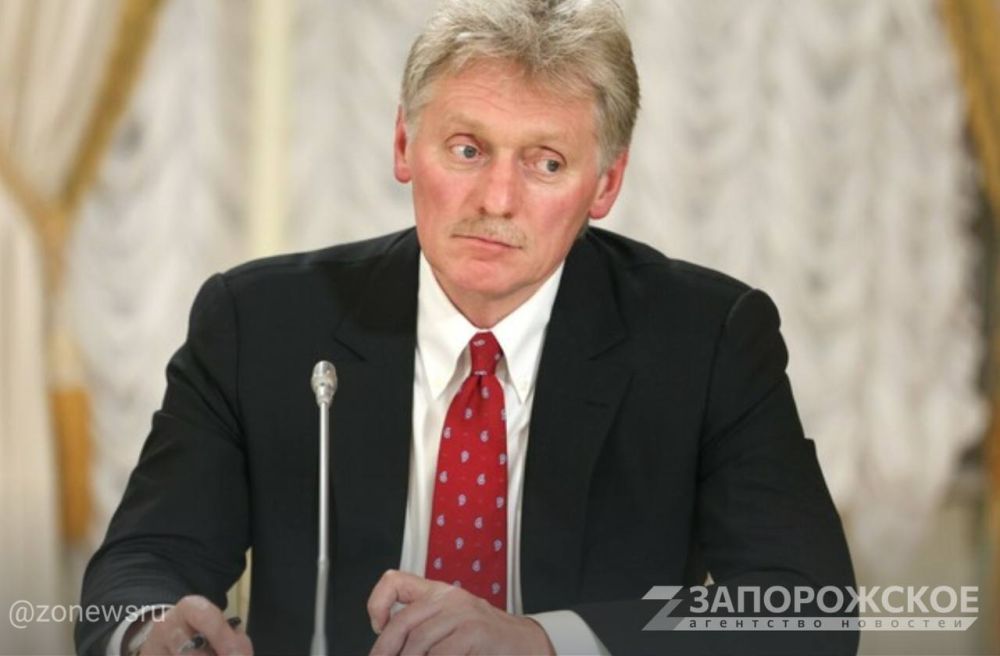 Песков: выборы в новых регионах прошли полностью в правовом поле