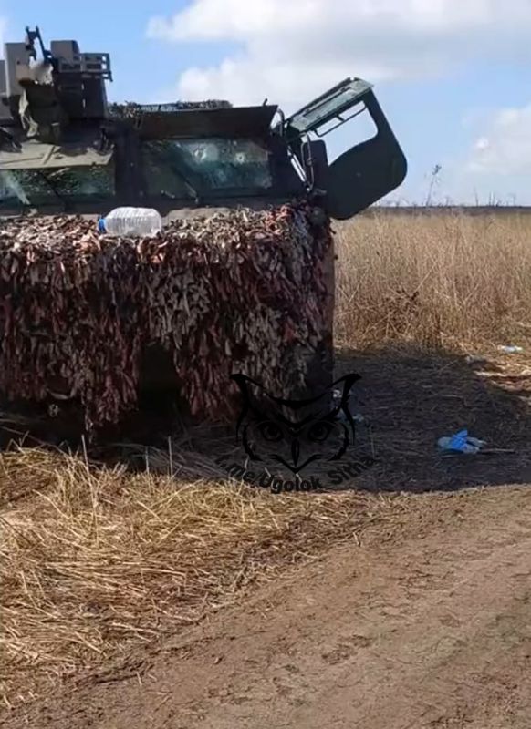 ����� �����: �������� ����������� ��������������� VAB �� ����������� �����������