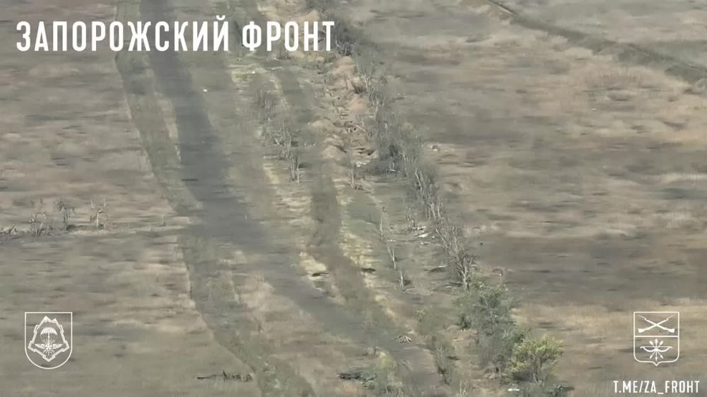 ����������� �����, ���������� �����������, ����� ZA_FROHT: