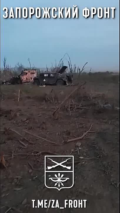 ������������ ������������ ��� ����� �.�. �������� �� ����������� �����������