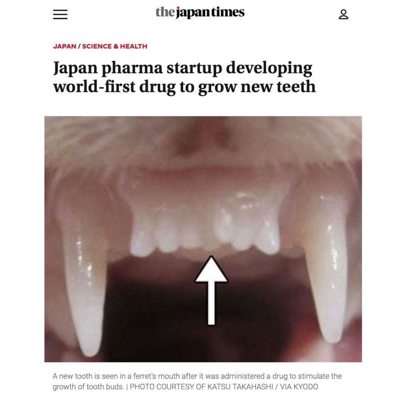 �������, ������ ��������� ���������� ���������� ���� � �������� ������� Toregem Biopharma Co ������ �������� ��������� ������ ��������� �� �������