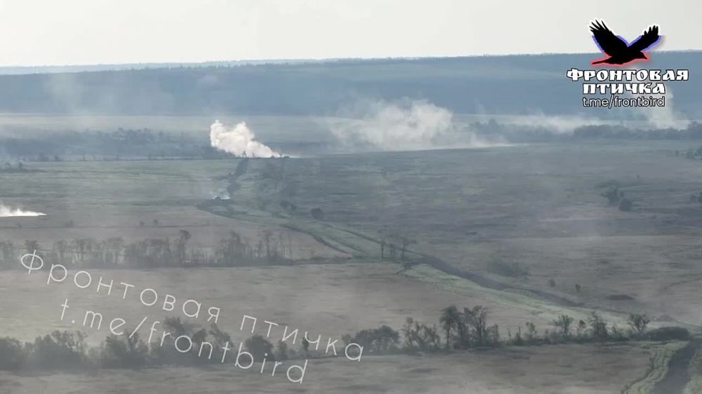 ����� �����: ����������� ����� ���. ����������� �����������