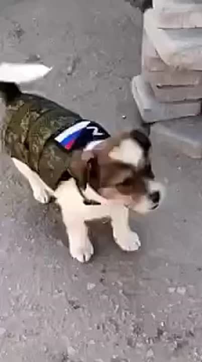 ������������ ���� � ���������� � ������� ������ �� ������������� �� ��