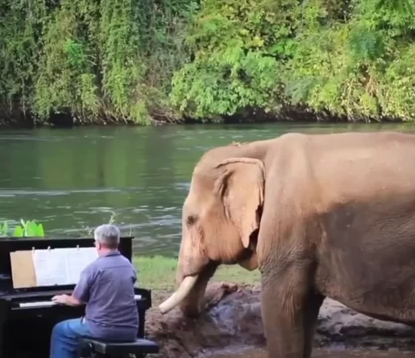������ ����� �� ������� �� �������