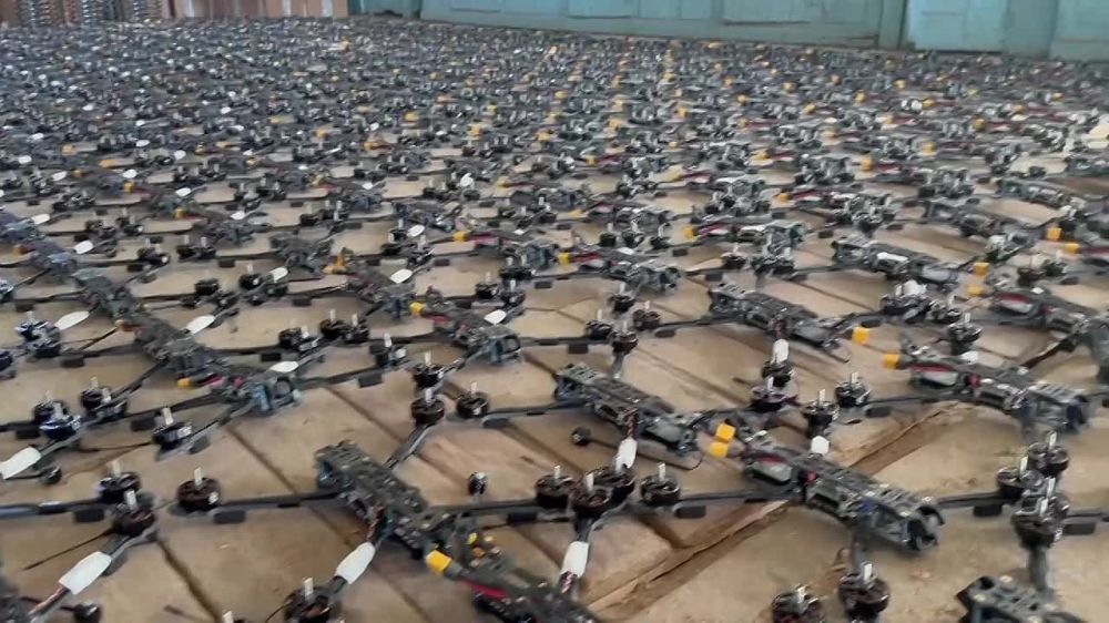 ����� �����: ���� �� ������������� ��� �� ��. ����������� �����������