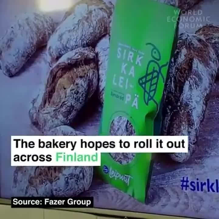 � ��������� ������ ���� ���� �� ���������