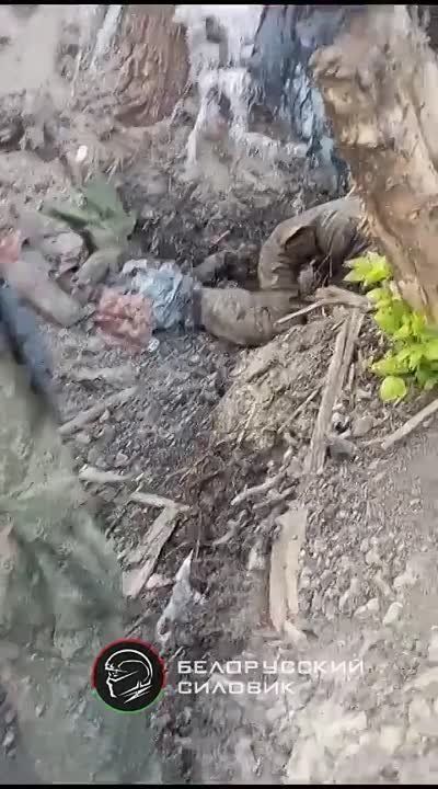 �������������� ����� � ������������ ����������� ���������� ������� �������� �������� � ������� ������ ���������