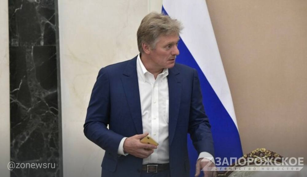 Песков: аплодисменты Зеленского фашисту из дивизии СС подтверждают нацистскую идеологию Киева