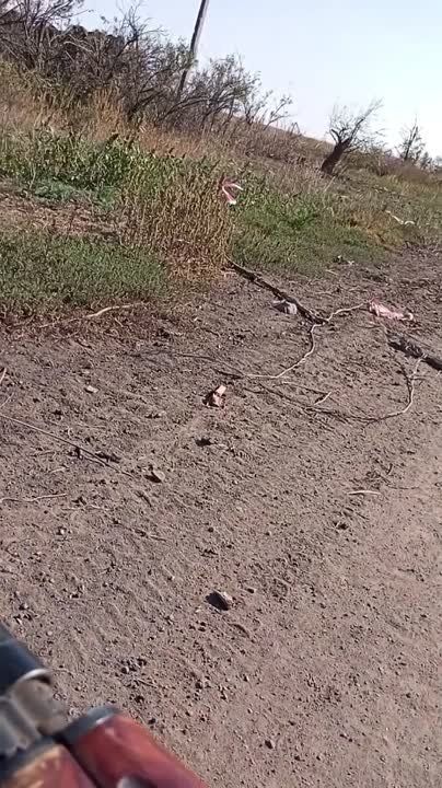 ������ �������: �������� � ��������� ���������� ��� M2A2 Bradley ������������� ������������ �� ������ ������� � �.�. ��������, ����������� �����������