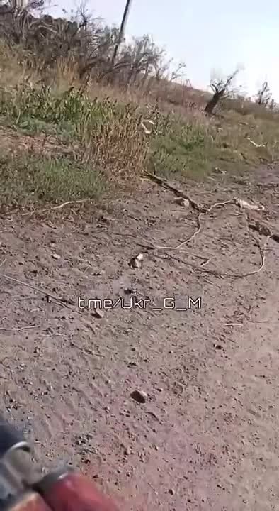 Андрей Руденко: Запорожские степи превратились в кладбище западной техники