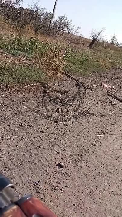 Евгений Лисицын: Очередная Брэдли заблудилась в районе Работино на Запорожском фронте