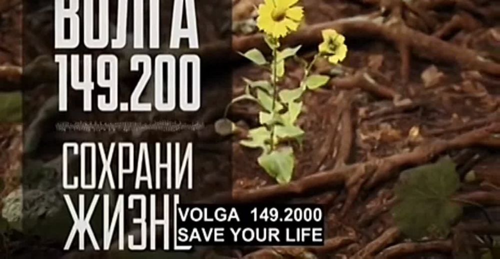�������� �����: ��� ������ �������� � �������� ���?