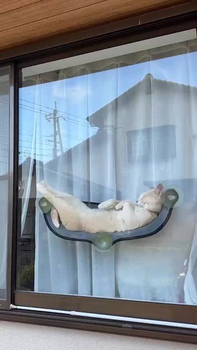 � ������ �����, ��������!. �������������� ��
