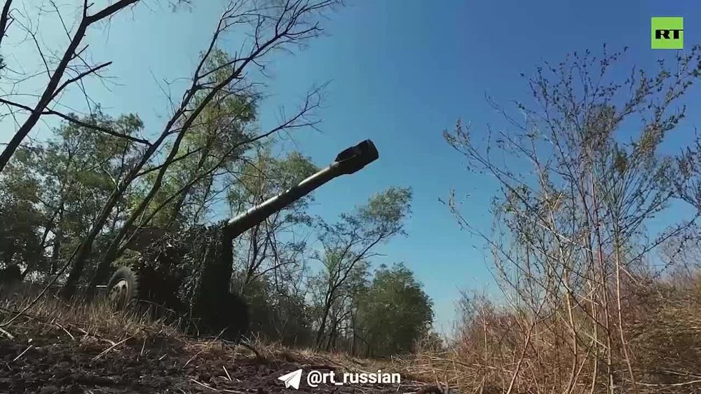 ����� �����: ��������� � ������������ �����������