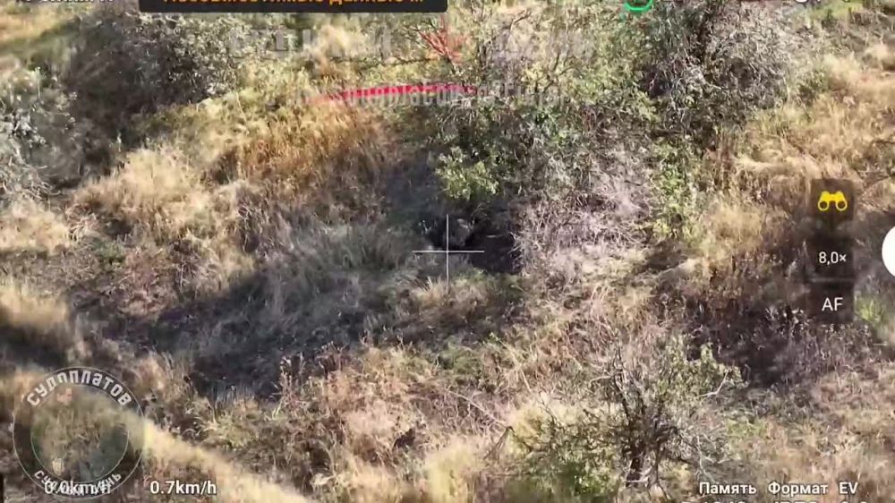 FPV-����� ������� ���������� ������ � ������� ����� � �������� � ��������