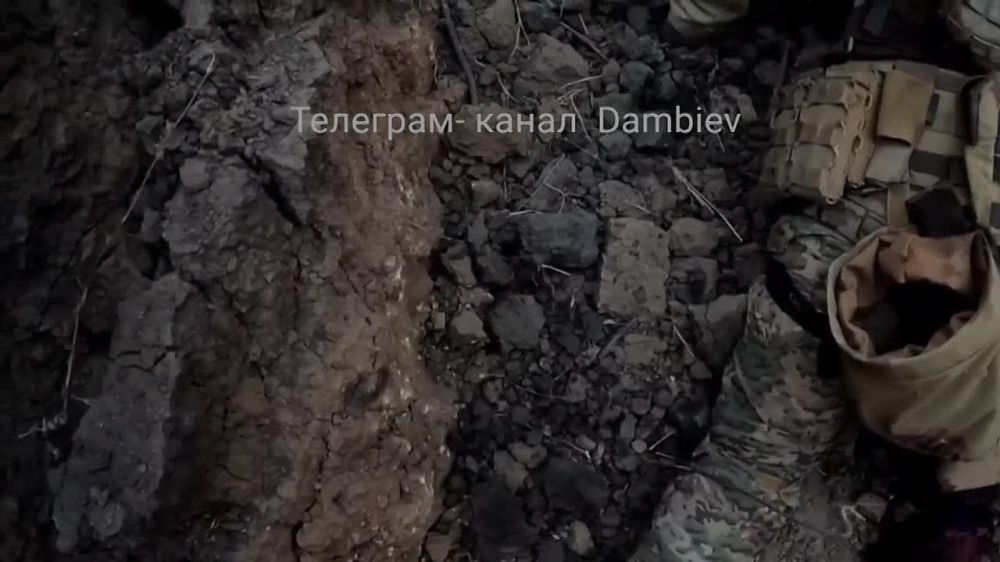 ������ �������: ������ ����������� ���������������� � ������ �.�. �������� �� ����������� �����������