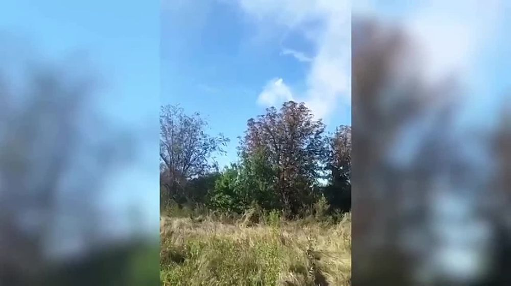 ��������� ����� �� ����� ������