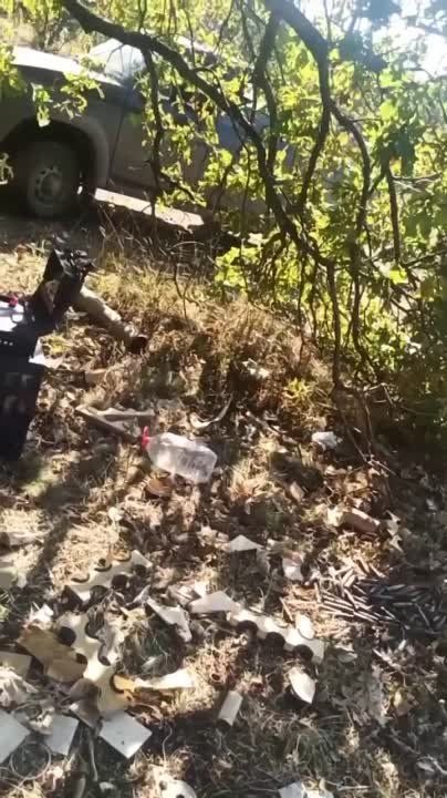����� ��������� ������ �������������� ���������� ��� ���� "������"