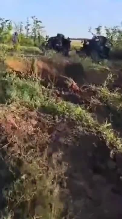 ���������� ������� ���������� ������ ������� �� ����������� �����������