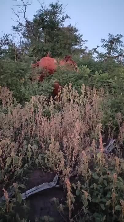 ������ �������: ������ ����������� ����������������