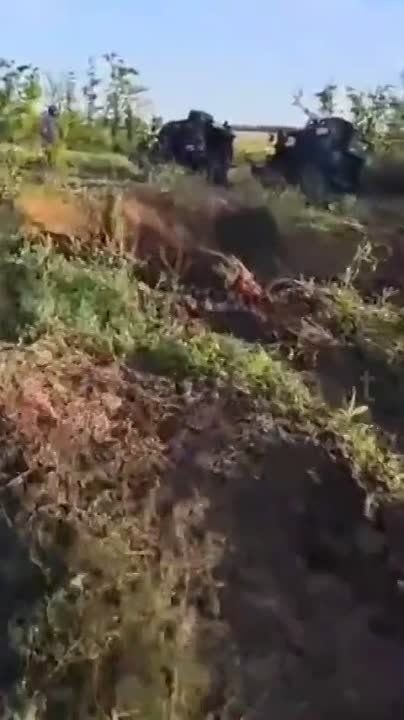 Евгений Лисицын: ВСУ-шники продолжают терять технику на Запорожском фронте