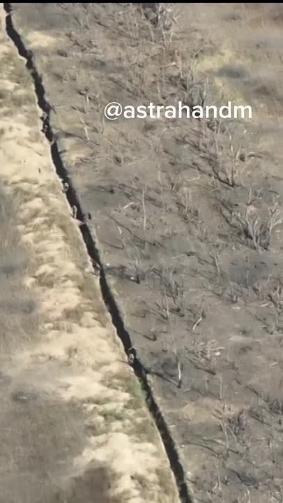 ����� ��������� ������� ��� ���������� ��� � ������� FPV-����� � ������ �.�. ��������