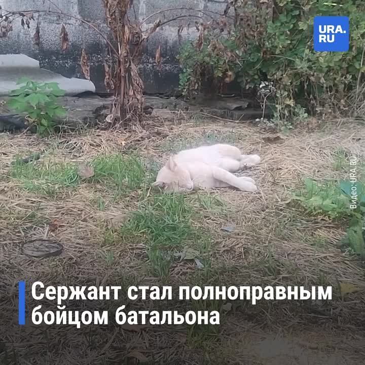 ��� ������� � ������������ ���� ��������� ��. �����������