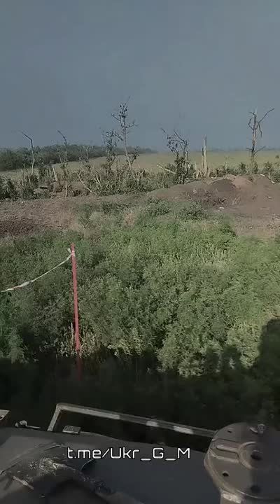 ��������� �������� ������������ �� ����������� ����������� ������������ �������� ���