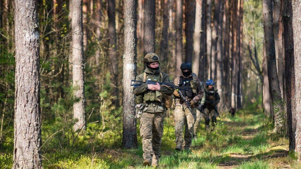 Обстановка в Работино, диверсанты на Брянщине. Итоги 29 сентября на Украине