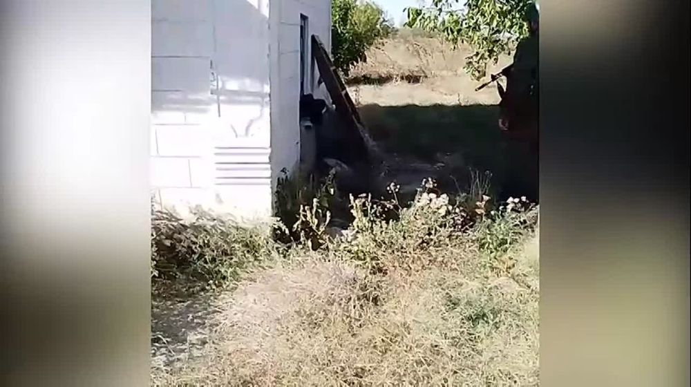 ����������� ���������� � ������������ ����� � ������������ � ����������� ����������