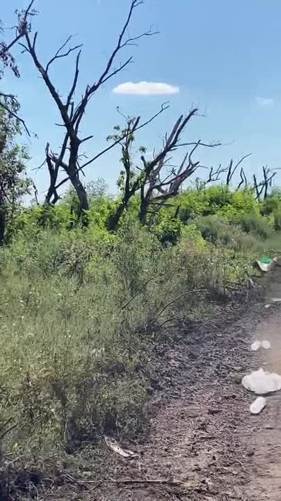 ������ �������: �� �� ���������� �� ����������� ����������� ������� ����������� ������-������������� ��������� - ��������������� UAT-T �COBRA� ������������ �������� UkrArmoTech