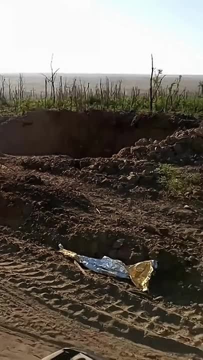 ������ �������: ������ ���������������� ���. �������� ������������ ������������ ���������� ������������ �� "������ ������" � ������ �.�. �������� �� ����������� �����������