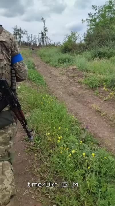 ������ ���� �������������� ������������ ���. ����� � �������� �������� ���������� � ���������������� ��������� ���, �������� �� ������ �� ��� �� ����������� ����������� #��� #��� #����������� #������� #��������� #���