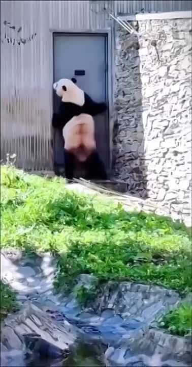 ����������: ���������� ��� �����