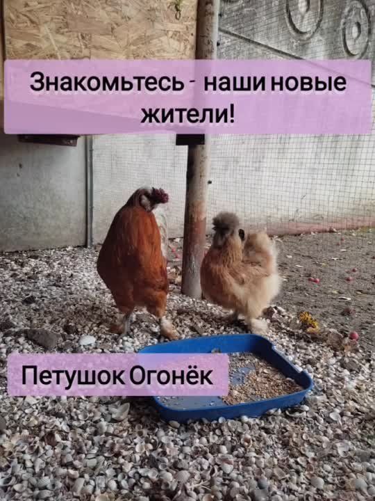 ������ �����!. ���� �������� ����� ������������� ���������� ����������������� �������� ���� �36 "��������"...