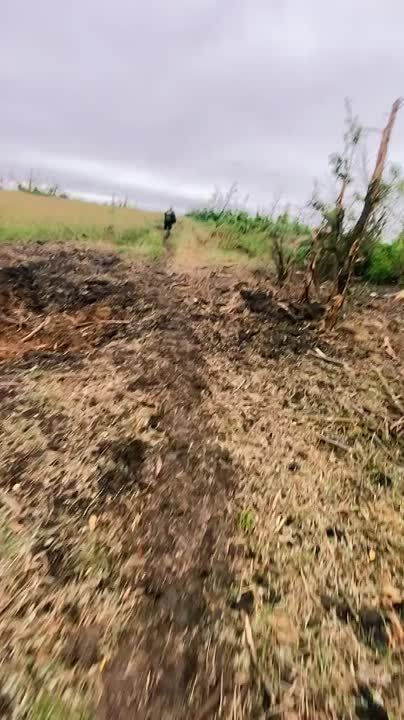 ������ �������: ��� ���� ������������ �� ����������� ����������� ���������� ���������������� YPR-765 , ���������� ������������ � �������� ������� ������