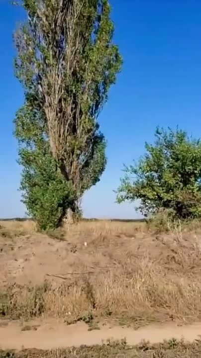 ������ �������: �������� ����� ������ ���� ����������� ��-25 ��� ������ � ������������ �� �������� ���������� ������������ �� ����������� �����������