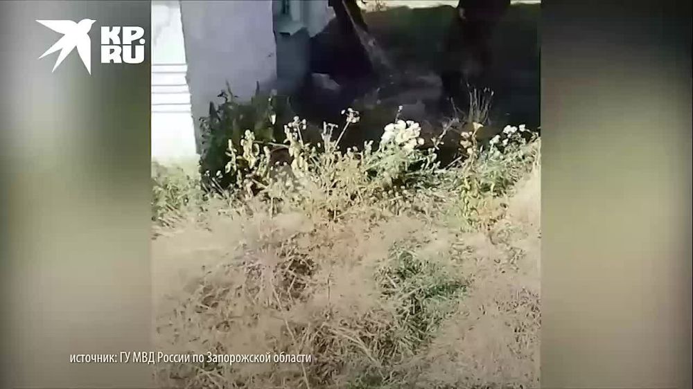 ������ �������� � ����: � ����������� ������� ����� ����� ����������� � ����������� ����