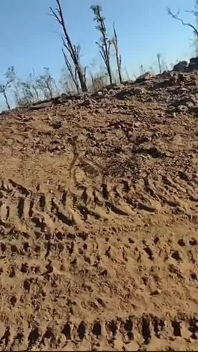 ���������� ������ ������ ��� ��������