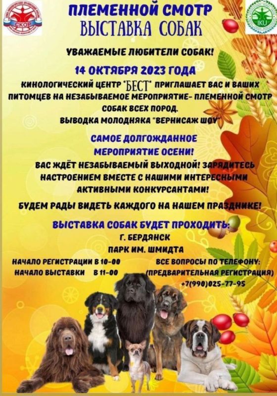 �������������� ����� "����" ���������� ��� � ����� �������� 14 ������� 2023 ���� �� ������������ ����������� - ��������� ����� � �������� ����� ���� �����